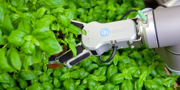 Transforming the Workforce: How Collaborative Robots Are Shaping the Future of Industry