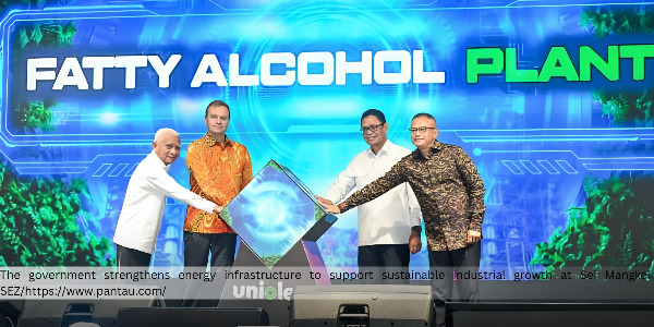 News Image Megamenu