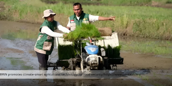 BRIN Promotes Agricultural Technology Adaptation to Address Global Climate Change Threats