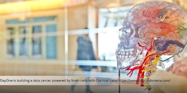 DayOne to Build Data Center Powered by Brain Cells to Reduce Energy Consumption