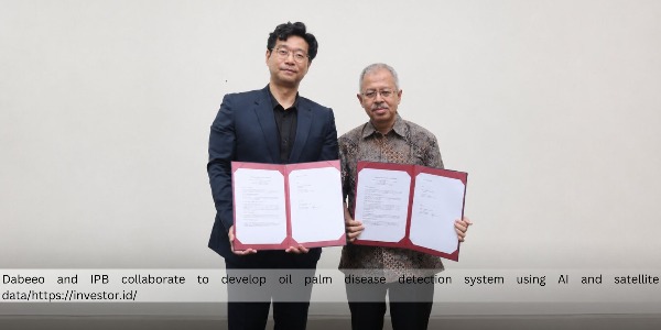 Dabeeo and IPB Collaborate to Identify Oil Palm Deficiencies Using AI and Satellite Data