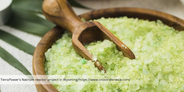 Bill Gates Backed Company Develops Salt-Based Nuclear Power Plant 