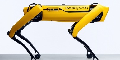 The Automation Revolution: Global Robot Density in Manufacturing Reaches a New Record