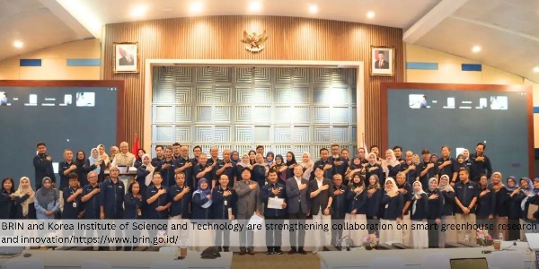 News Image Megamenu