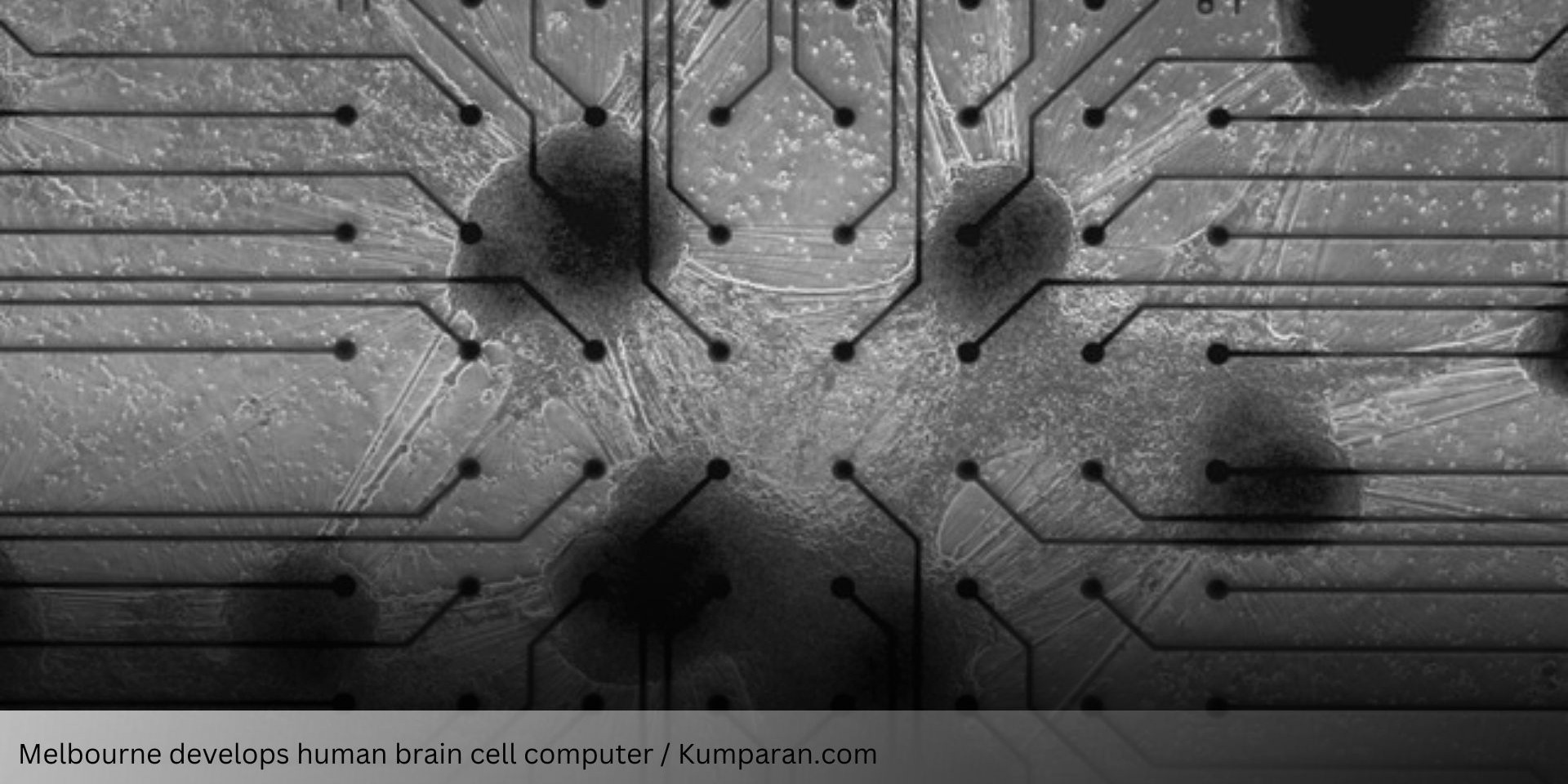 Revolutionary Innovation: Human Brain Cell-Based Computer from Melbourne