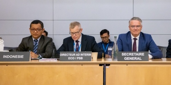 Indonesia Achieves Improvement in Product Market Regulation Index: A Step Towards OECD Membership