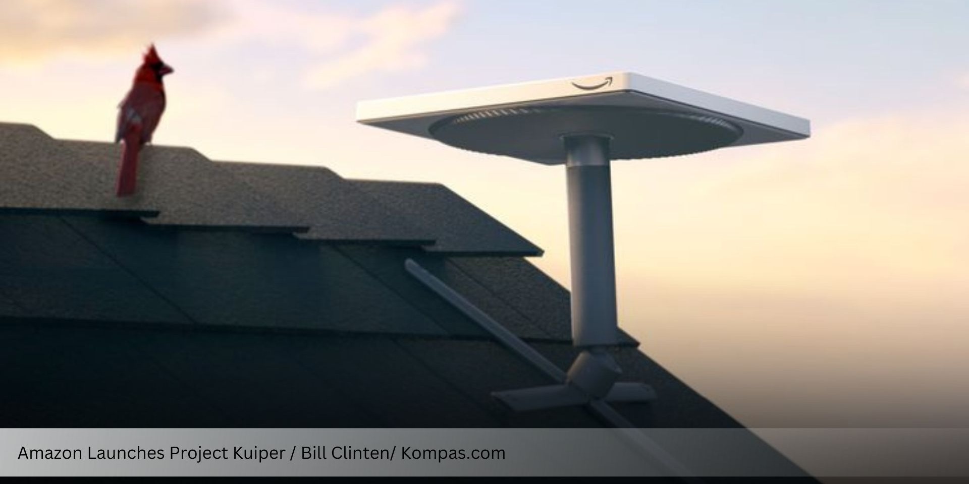 Amazon Launches Project Kuiper to Rival Starlink