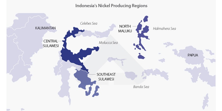 Indonesia Revs Up for Electric Vehicle Battery Domination: A Look at Opportunities and Challenges