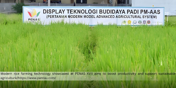 High-Yield Rice Cultivation Technology to Be Showcased at PENAS XVII in Gorontalo 